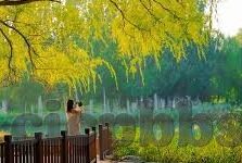 成人视频网站在线观看-成人视频网站，在线观看的利弊与思考