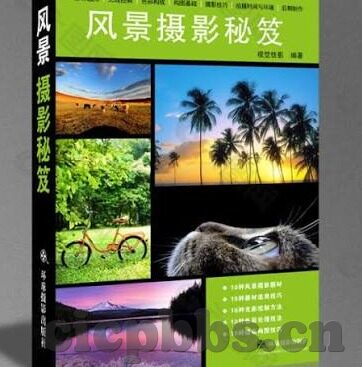 成人视频网址-成人视频网址，网络世界的灰色地带与风险