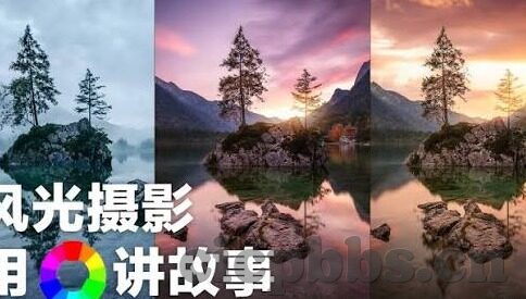 大象成视频入口-大象成视频入口，重塑内容消费的巨象之舞