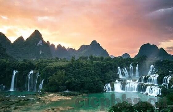 大象传媒回家网址-探索大象传媒的归家之旅，一个网络平台的温暖故事