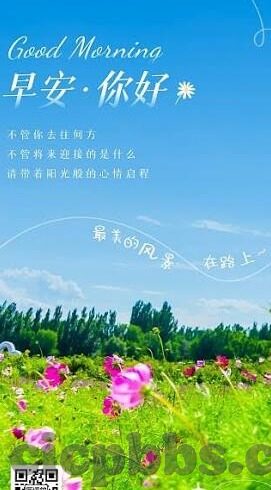 麻豆传媒是啥-麻豆传媒，揭开网络背后的暗流