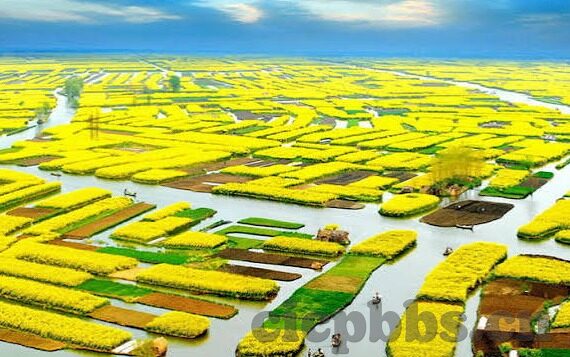 麻豆蜜桃传媒-麻豆蜜桃传媒——影视艺术的新风景