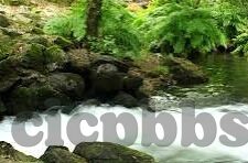 日韩av一级片在线播放-日韩影视内容欣赏与合法观看渠道的探讨