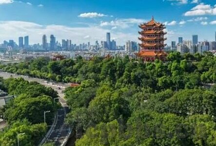 糖心app新官网入口-全面升级·畅享未来 —— 糖心App新官网门户导览