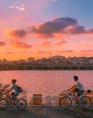 vlogcom糖心官网nicole-解锁Vlogcom新风尚，探索Nicole的糖心之旅