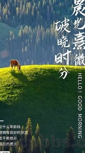 亚州成人在线视频-探索网络世界的多元视角，成人内容与文化多样性