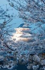 中文字幕麻豆传媒-沉浸视听的盛宴——中文字幕下的麻豆传媒文化探索